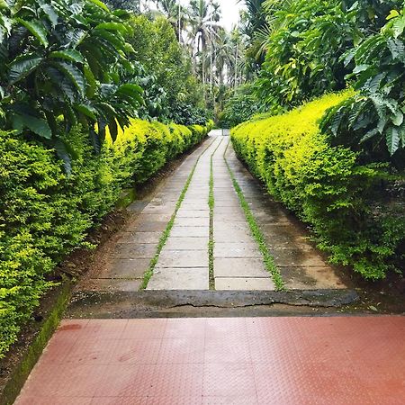 Wayanad Green Park Resort Ambalavayal Room photo