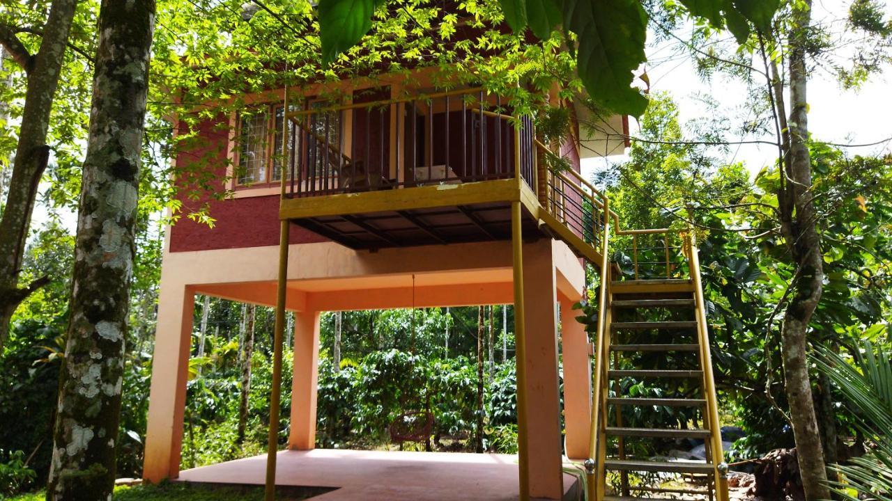 Wayanad Green Park Resort Ambalavayal Exterior photo