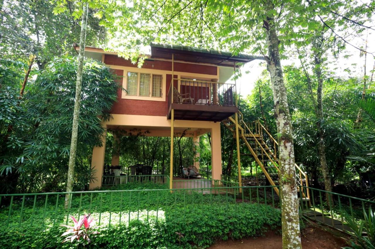 Wayanad Green Park Resort Ambalavayal Exterior photo